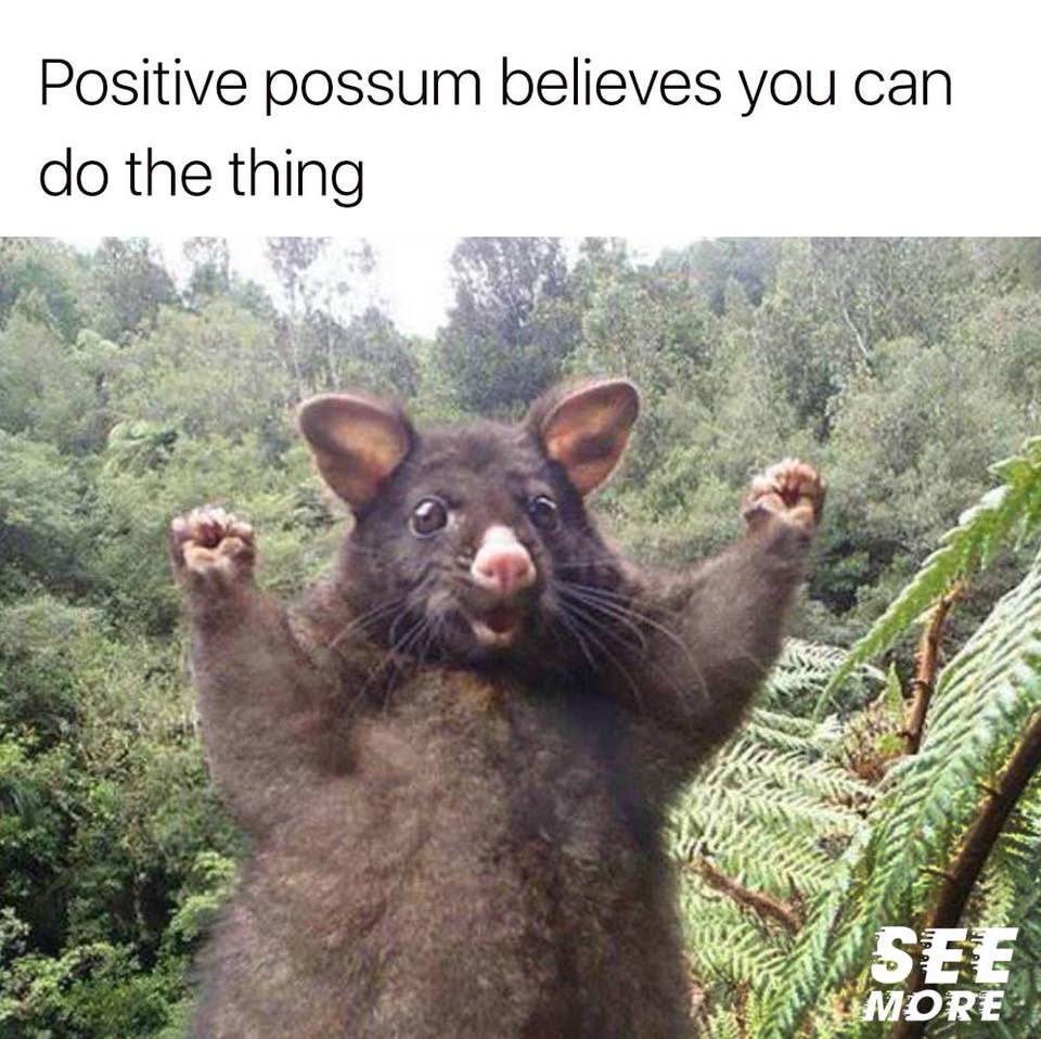 Positive Possum