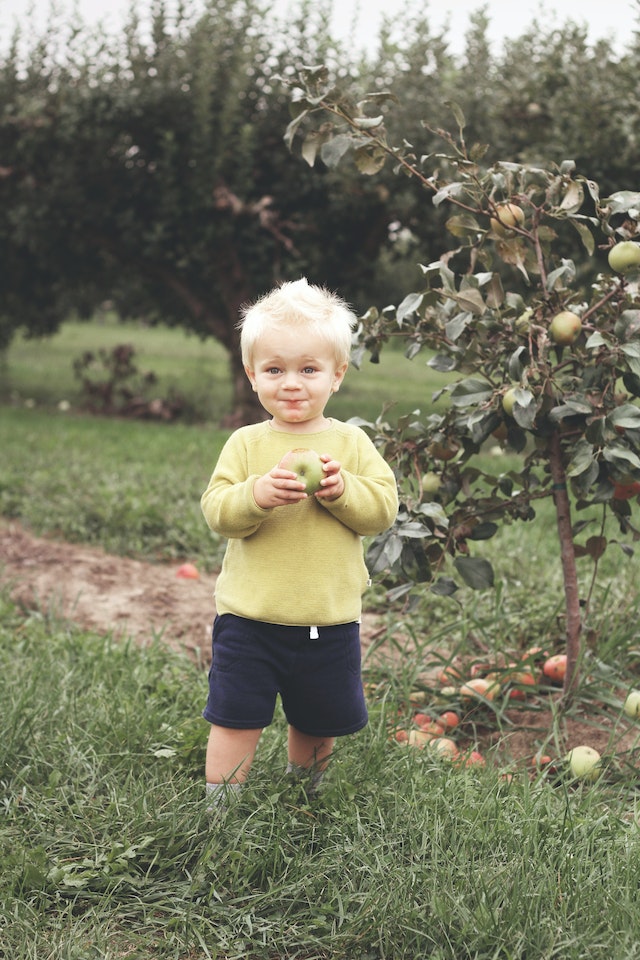 The boy and apple tree story